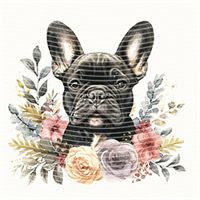 Animal Integration-DW 427